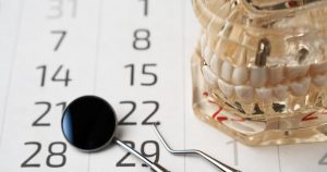 a teeth model on a paper with numbers showing how teeth are numbered and named