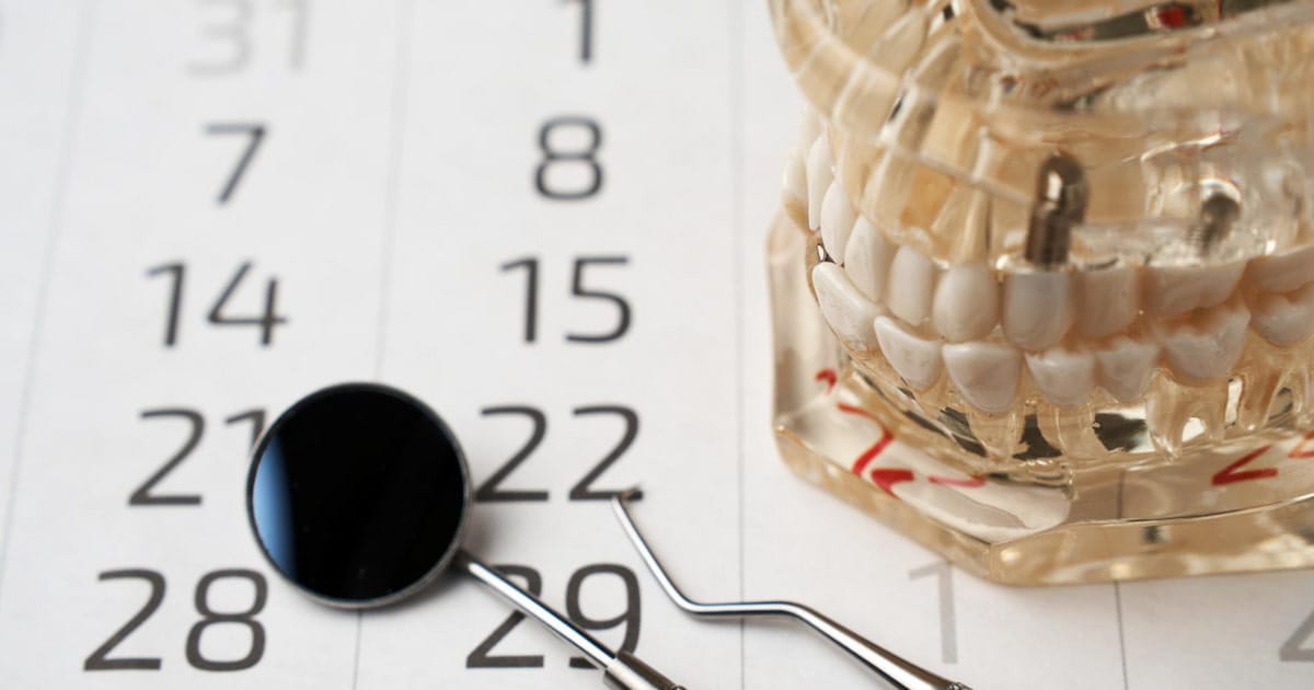 a teeth model on a paper with numbers showing how teeth are numbered and named