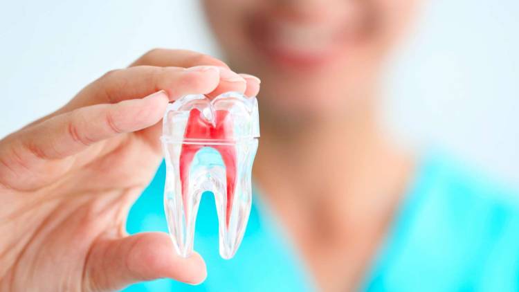 All about root canal side effects